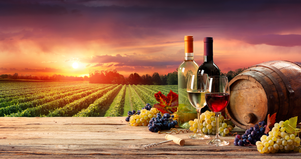 vina