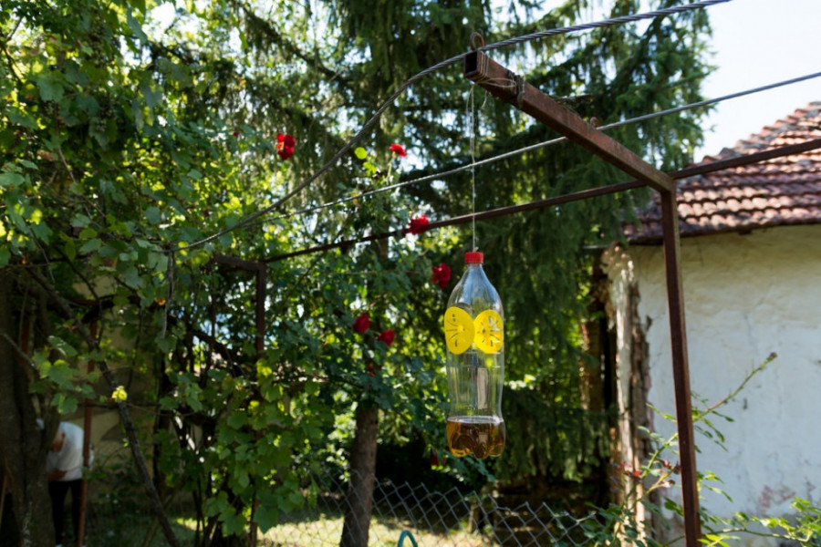 komarci