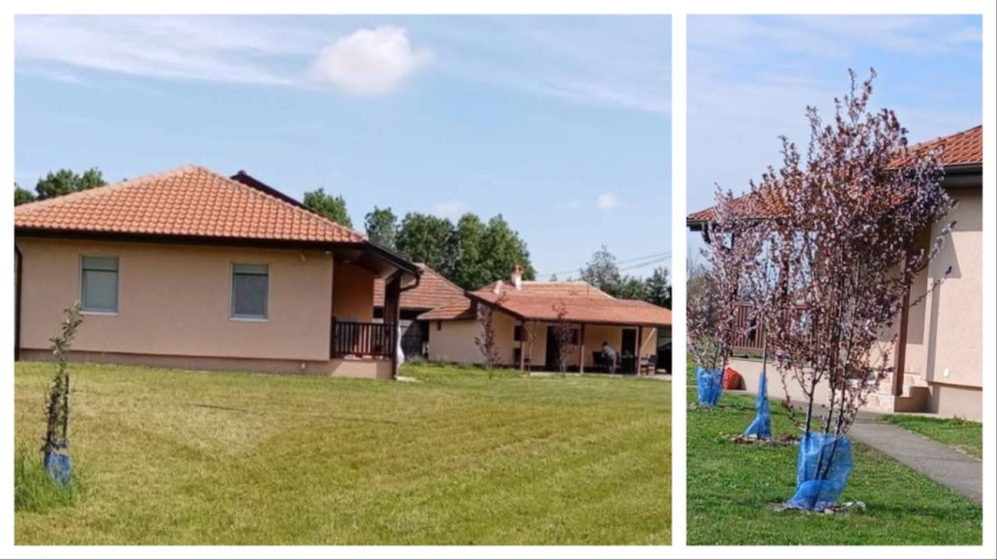 Porodično imanje kod Topole kao stvoreno za decu: Dve kuće, 58 ari i voćnjak, a sve je odmah useljivo