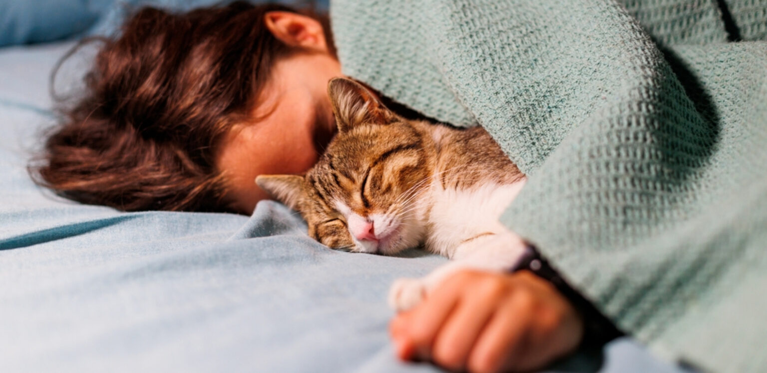 Foto: Shutterstock