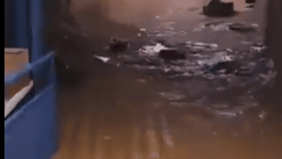 Poplave