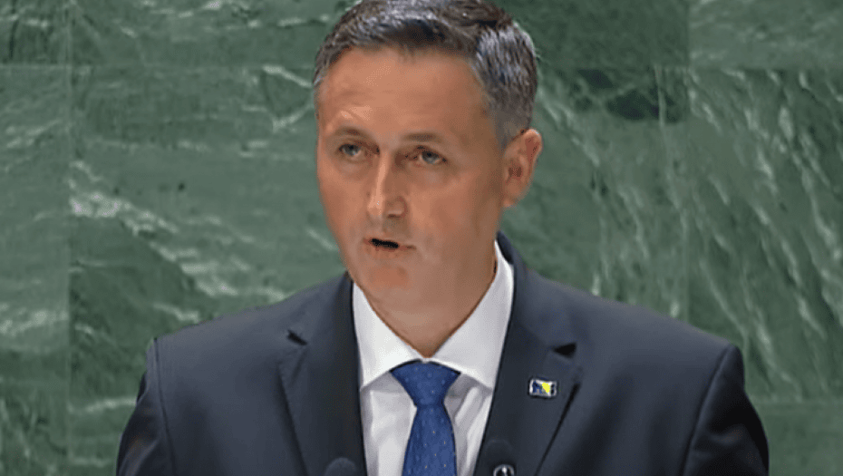 denis bećirović