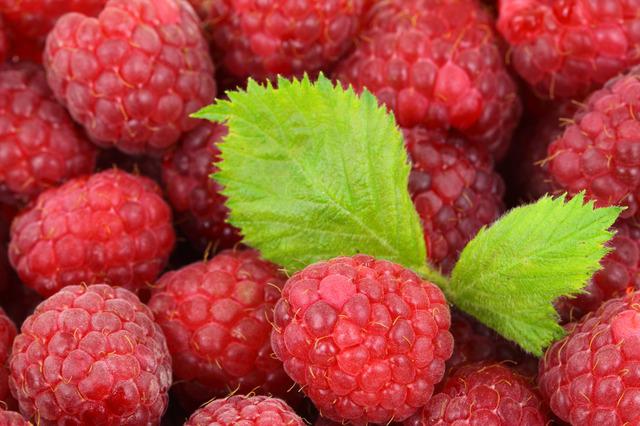 Maline