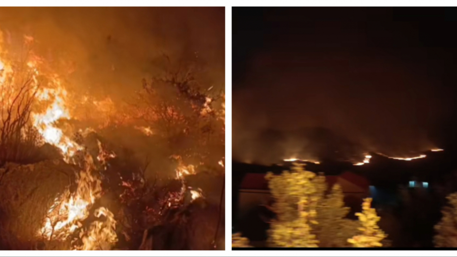 Printscreen/Facebook/PVP Neum