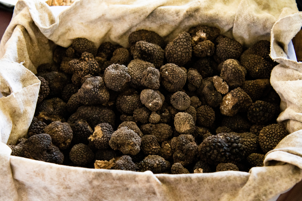 Tartufi