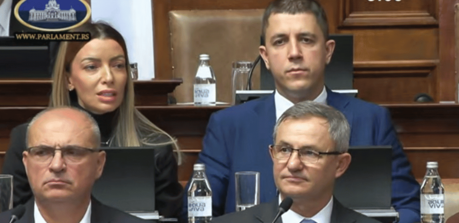 Printscreen/Youtube/ParlamentSrbija