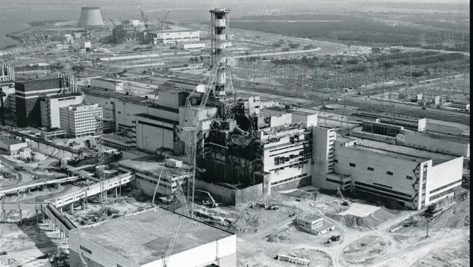 Zveri Iz Cernobilja Otporne Na Rak Naucnici Otkrili Nesto Neverovatno.jpg