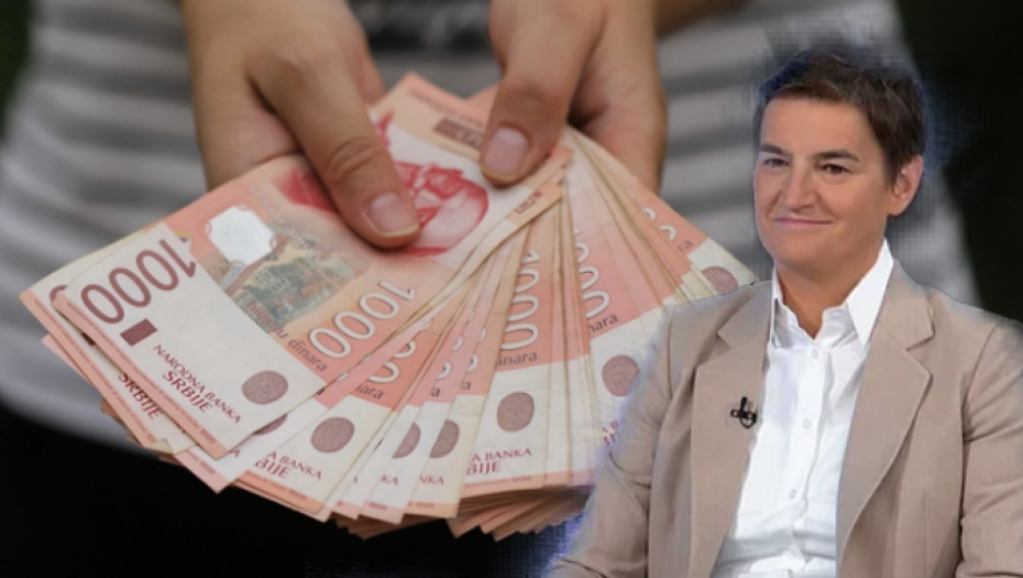 ana brnabić novac