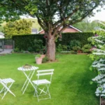 Baštovani savetuju da odmah stavite ovo na travnjak: Biće zeleniji i gušći nego ikad