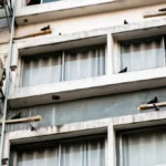 Beže od ovoga kao đavo od krsta, neće se više vraćati: Kako oterati golubove sa terase i simsa?