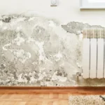 Buđ nestaje za 10 minuta: Moler otkrio najbrži trik za čiste zidove