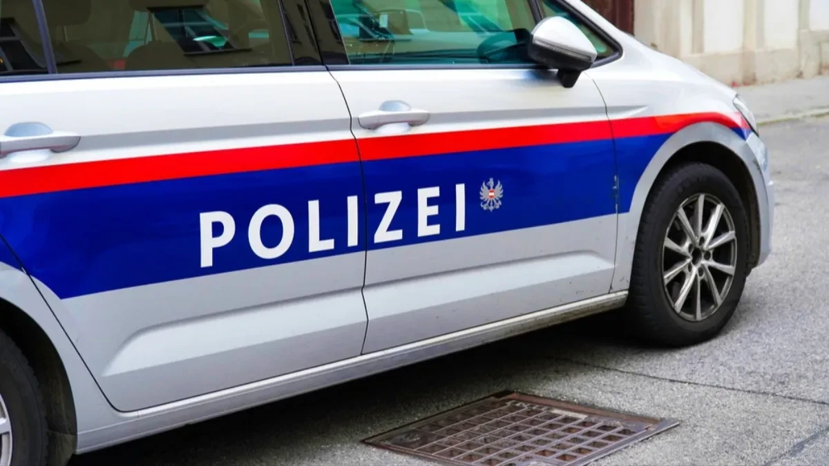 ČISTIO TOALETE, PA ZAVRŠIO PRED SUDOM Tereti se da je utajio porez od 250.000 evra