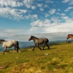 Gde za Prvi maj bez gužve - skrivena mesta u Srbiji koja oduzimaju dah
