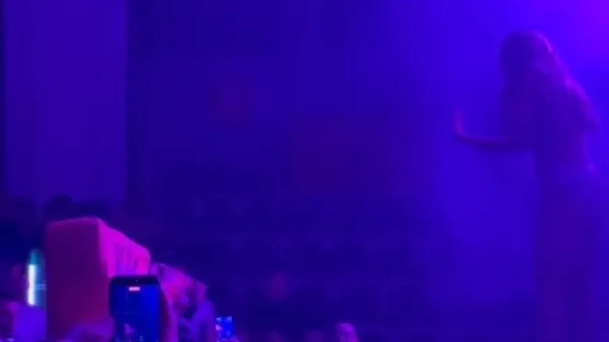 HITNO PREKINUT KONCERT TEE TAIROVIĆ! Pevačica nije znala šta ju je snašlo (VIDEO)