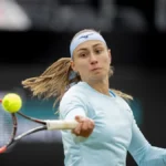 Hit izjava naše teniserke: Sve dezinfikujem pivom