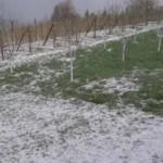 JAK GRAD VELIČINE ORAHA TUKAO SELO KOD PRIJEPOLJA Pao silan led, sve se zabelelo (VIDEO)