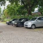 JESTE HLADOVINA, ALI IZBEGAVAJTE PARKIRANJE ISPOD DRVETA Postoji dobar razlog za to