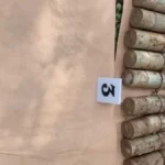 NAĐENE EKSPLOZIVNE NAPRAVE KOD NEBOJŠINE KULE Opsadno stanje na Kalemegdanu