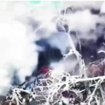 NIKO NIJE PREŽIVEO! Jeziv snimak razaranja ukrajinskih vojnika (VIDEO)