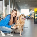 OD DANAS NOVA PRAVILA ZA PUTOVANJA SA PSIMA I MAČKAMA Ako vodite ljubimce u zemlje EU ovo morate da znate