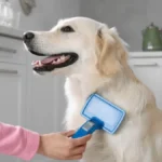 OVO NIPOŠTO NE RADITE DOK KUPATE PSA Svi prave grešku koja im može narušiti zdravlje