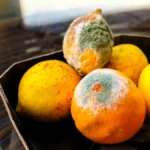 Pomorandža i limun neće više ovako buđati: Našli smo trik koji čuva svežinu citrusa nedeljama