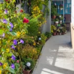 Raste u skoro svakom dvorištu, a niko ne zna kakvo je blago! Kada saznate, čuvaćete ga kao oči u glavi