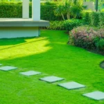 Redak biznis u Srbiji, a vrlo isplativ: Plaćaju i po 4 evra po kvadratu