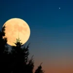 Svemirska ekonomija, vredna milijarde - "Ljudi će živeti i raditi na Mesecu"