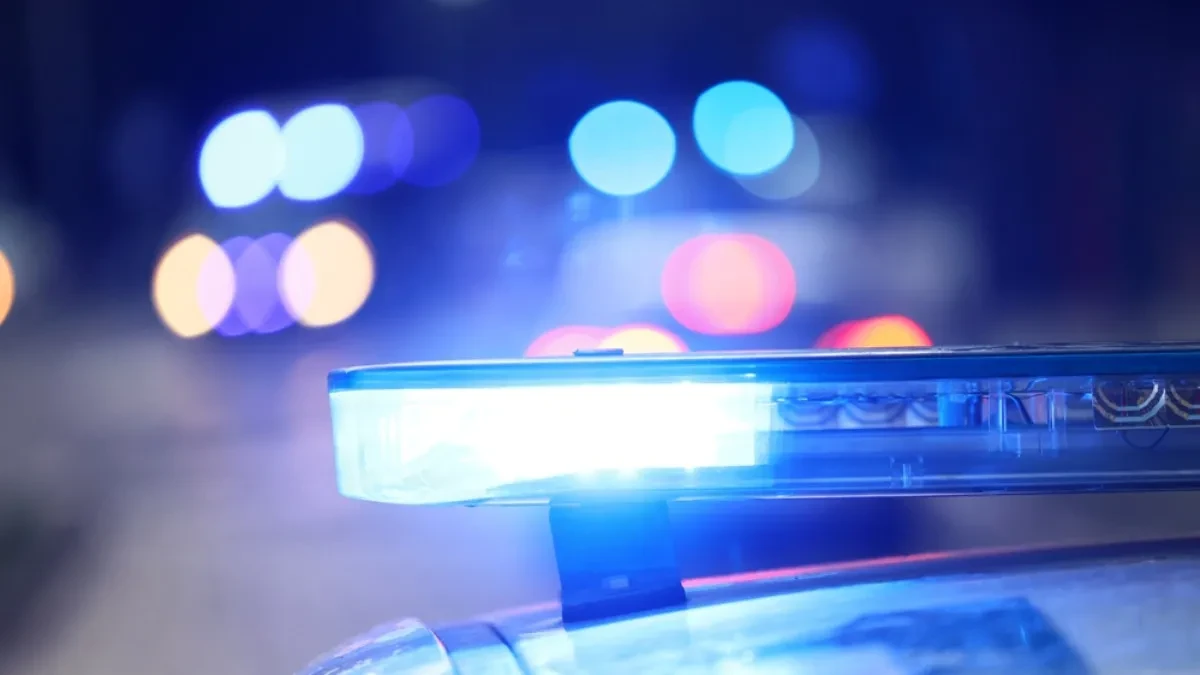 TELO OMILJENOG SRPSKOG GLUMCA PRONAĐENO U TISI  Alasi nisu mogli da veruju šta su ugledali...STRAVIČNI DETALJI