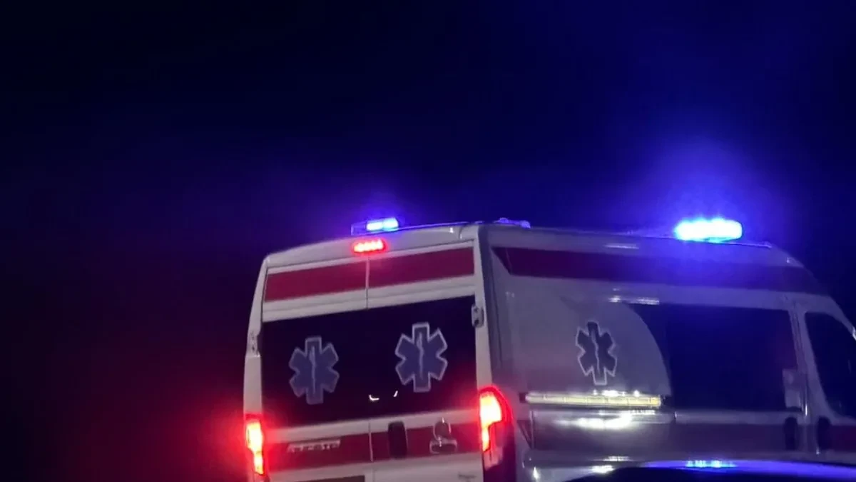 TRUDNA PEVAČICA POBACILA TOKOM KONCERTA Doživela traumatično iskustvo: