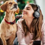 VLASNICA SVOM LJUBIMCU PUSTILA POZNATI POP HIT Njegova reakcija je neodoljiva