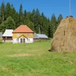 Besplatna kuća i posao u selu sa 40 stanovnika: Stiglo više od 100 prijava, ali postoji jedan važan uslov