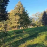 Da li je ovo najtraženija kuća u Srbiji? Oglas iz turističkoh raja zaludeo sve cenom