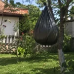 Kako da oterate stršljenove iz dvorišta: Trik sa plastičnom kesom