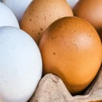 Koliko jaja traju u frižideru? Uradite 1 jednostavan test i lako ćete proveriti da li su još sveža