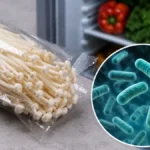Ne jedite ove pečurke! Bakterija preživljava čak i u frižideru
