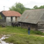 Ne menjajte dedovinu za novac: Veruje se da njena prodaja donosi lošu sreću