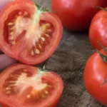 Ne stavljajte ga u korpu ako primetite ovaj detalj: Ovako izgleda paradajz koji je pun hemije