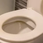 Ni trunka se neće osećati, ubija mirise iz WC šolje: 1 namirnica iz kuhinje neutrališe sve, nemojte samo preterati