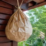Okačite ovo na terasu i ose će bežati glavom bez obzira:  Genijalan trik koji rešava problem za 48h