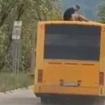 Opasna igra! Dečak se vozi na krovu autobusa (VIDEO)