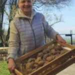 Ovakav krompir ni slučajno ne jedite: Može da dovede do trovanja