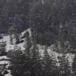 Pahulje veju kao da je januar! U ovom delu Srbije upravo pada sneg (VIDEO)