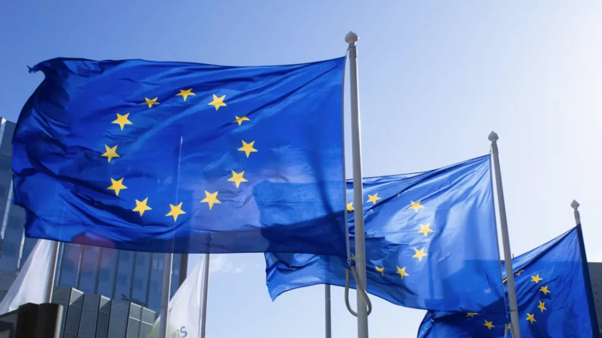 "Pažljivo pratimo slučaj!" EU se oglasila o hapšenju direktora srpskih institucija