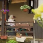 Pevačica se razvodila 12 puta! Razlog je uvek bio isti: