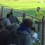 Skandal na meču Crvene zvezde: Navijač udario šamar igraču (VIDEO)