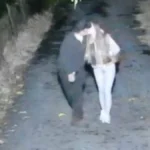 "Stoka, ne bira sredstvo" Žestoko isprozivao Sofiju zbog afere sa Danetom (70)