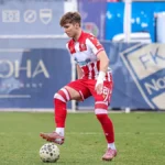 Superliga izabrala 11 najboljih: Najviše iz Zvezde, samo jedan iz Partizana