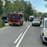Živ izgoreo! Detalji tragedije kod Čačka